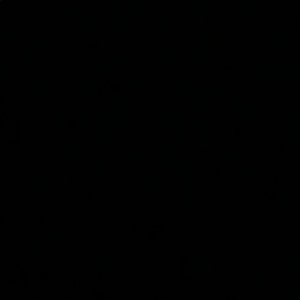 Meet your Posher, Raegan